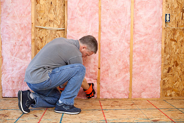 Best Insulation Maintenance and Repair in Vley Grande, AL