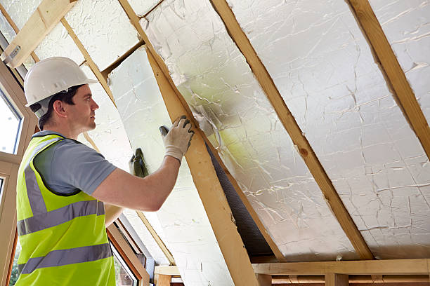 Best Insulation Maintenance and Repair in Vley Grande, AL