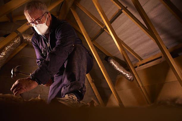 Best Types of Insulation in Vley Grande, AL
